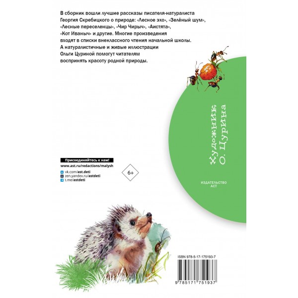 Зеленый шум. Рассказы. Скребицкий Г.А.
