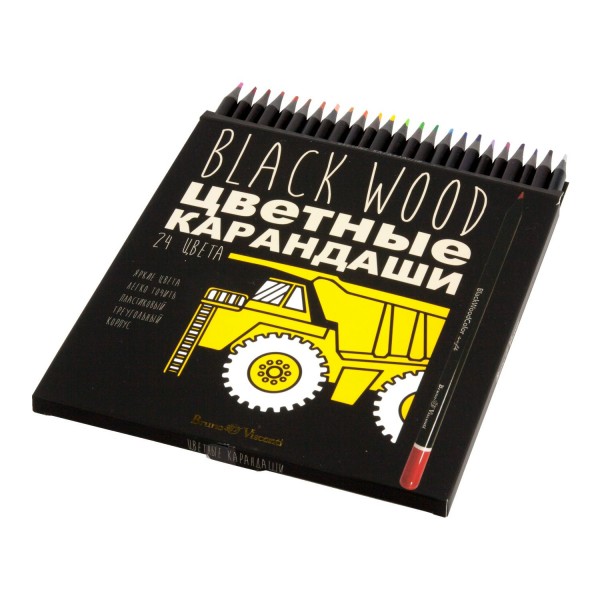Карандаши цветные 24шт пластиковые BlackWoodColor 30-0099 Bruno Visconti 12/72