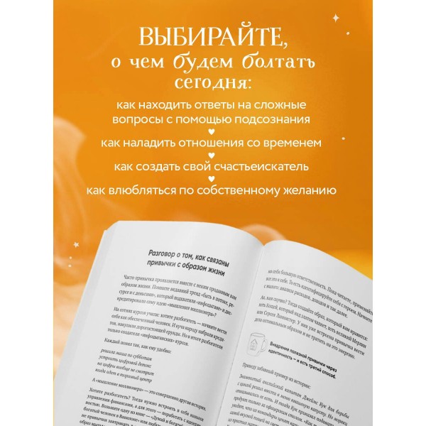 Маленькие секреты большого счастья. 32 разговора в придорожном кафе. Мужицкая Т.В.