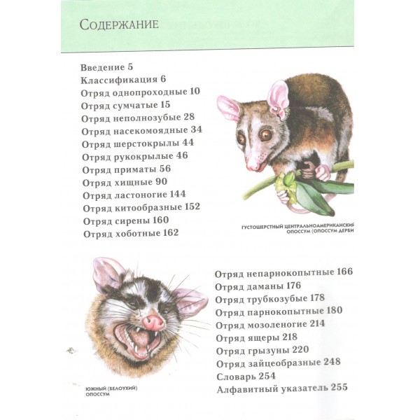 Животные. Полная энциклопедия. Школьник Ю.К.