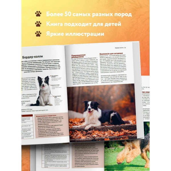 Собаки. Самые известные породы. Большая иллюстрированная энциклопедия. Коллектив Собаки. Самые известные породы. Большая иллюстрированная энциклопедия. Коллектив