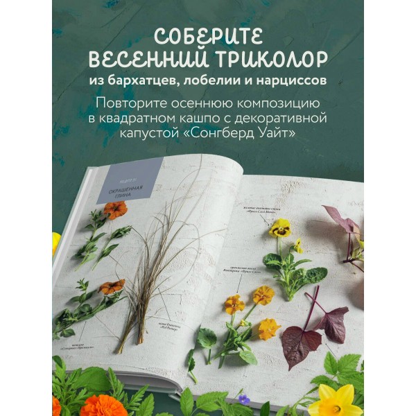 Магия контейнерного сада. Цветочный дизайн террас, веранд, балконов, патио и маленьких садов. Л. Уильямс Магия контейнерного сада. Цветочный дизайн террас, веранд, балконов, патио и маленьких садов. Л. Уильямс