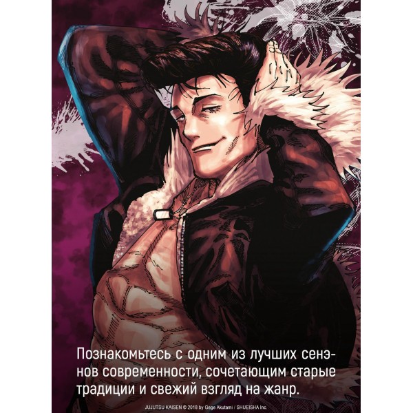 Магическая битва. Книга 13. Решающая битва в Синдзюку. На юг (лимитированное издание). Г. Акутами