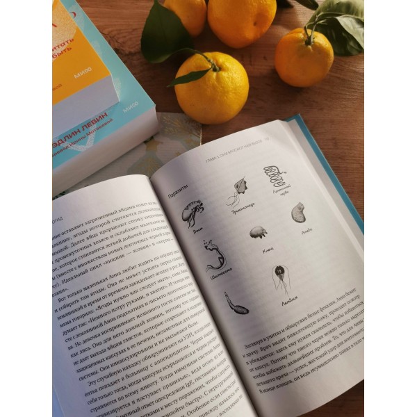 Иммуногид. Все, что вас волнует в иммунной системе от профессора-вирусолога. Х. Штрик