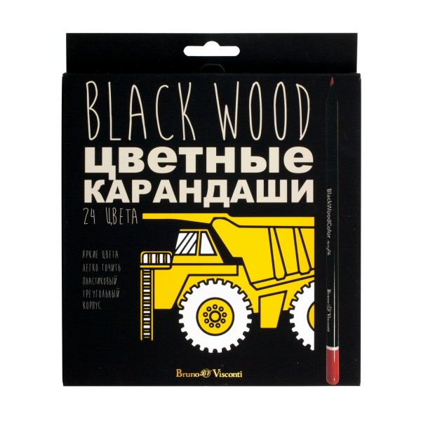 Карандаши цветные 24шт пластиковые BlackWoodColor 30-0099 Bruno Visconti 12/72
