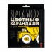 Карандаши цветные 24шт пластиковые BlackWoodColor 30-0099 Bruno Visconti 12/72