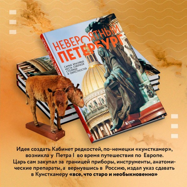 Невероятный Петербург. Самые красивые места Северной столицы и окрестностей. Якубова Н.И.