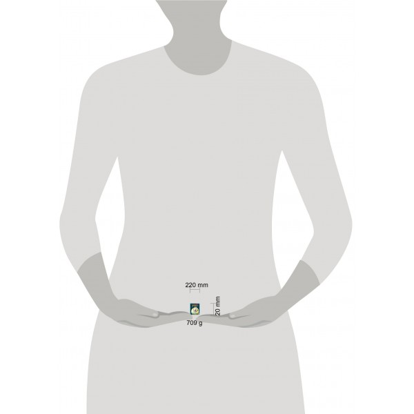 Алиса в Стране чудес. Л. Кэрролл Алиса в Стране чудес. Л. Кэрролл