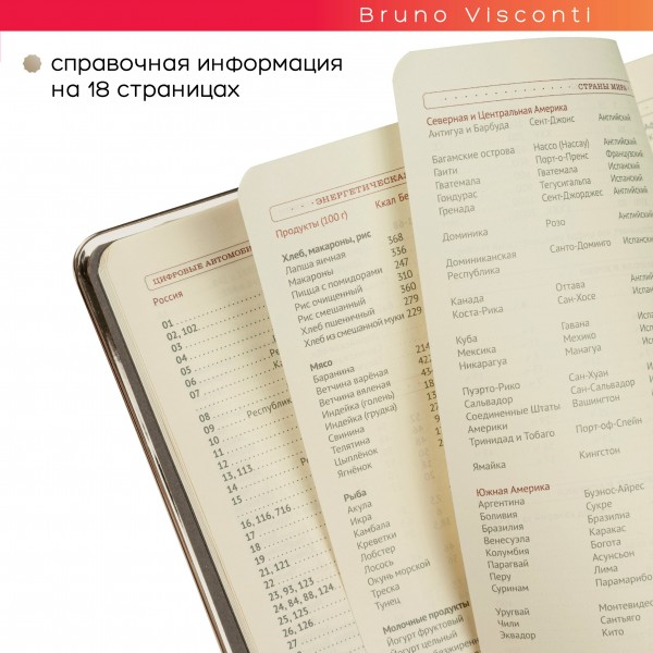 Ежедневник недатированный А5 130х212 136 листов, линия, твердая обложка, кожзам Bridge черный, серебряный срез, бежевая бумага, ляссе 3-528/02 Bruno Visconti