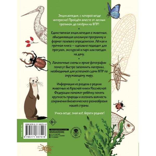 Окружающий мир. Животные. Энциклопедия. Сивоглазов В.И. АСТ