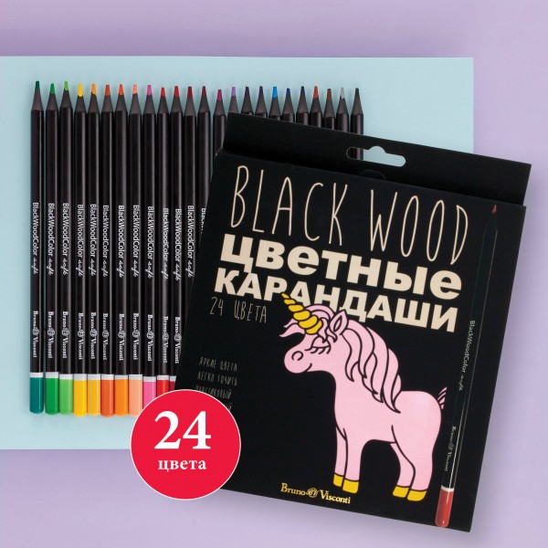Карандаши цветные 24шт пластиковые BlackWoodColor 30-0099 Bruno Visconti 12/72