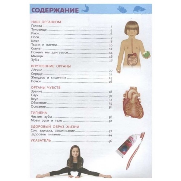 Тело человека. Клюшник Л.В.