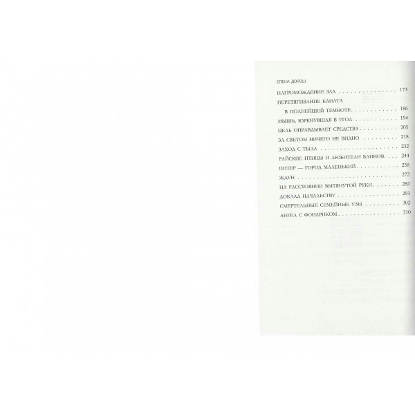 Завеса зла. Е. Дорош