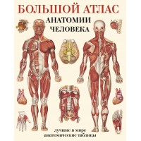 Большой атлас анатомии человека. Мягкая обложка. Е. Махиянова Большой атлас анатомии человека. Мягкая обложка. Е. Махиянова