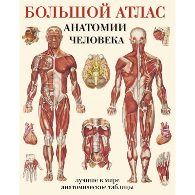 Большой атлас анатомии человека. Мягкая обложка. Е. Махиянова