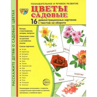 Цветы садовые. 16 демонстрационных картинок с текстом на обороте. 174 х 220. 