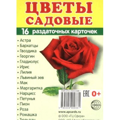 Цветы садовые. 16 раздаточных карточек 63 х 87. 