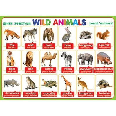 Английский язык. Дикие животные. Wild Animals. 0-02-284 Мир открыток