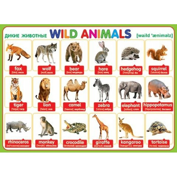 Английский язык. Дикие животные. Wild Animals. 0-02-284 Мир открыток