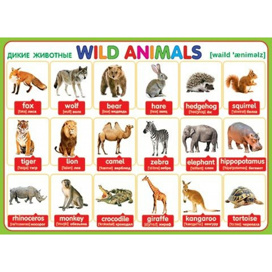 Английский язык. Дикие животные. Wild Animals. 0-02-284 Мир открыток купить  оптом в Екатеринбурге от 28 руб. Люмна