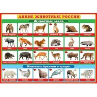 Дикие животные России. 0-02-290 Мир открыток Дикие животные России. 0-02-290 Мир открыток