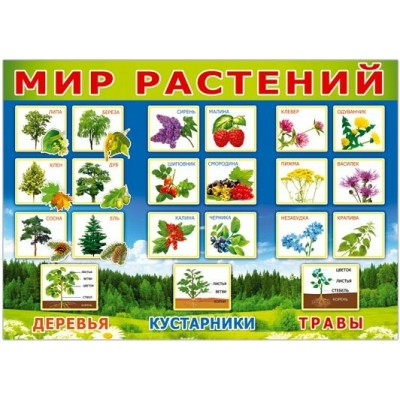 Мир растений. 31619 Русский дизайн