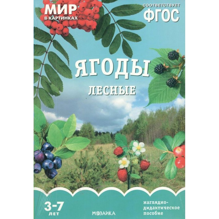 Мир в картинках. Ягоды лесные. Наглядно - дидактическое пособие. 3 - 7 лет.  купить оптом в Екатеринбурге от 189 руб. Люмна