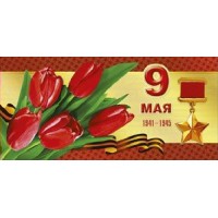 Мир поздравлений/Открытка 9 Мая/029.273/
