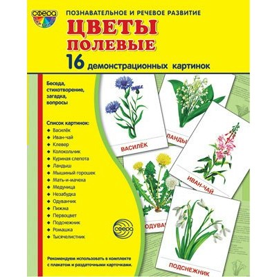 Цветы полевые. 16 демонстрационных картинок с текстом на обороте. 174 х 220. 