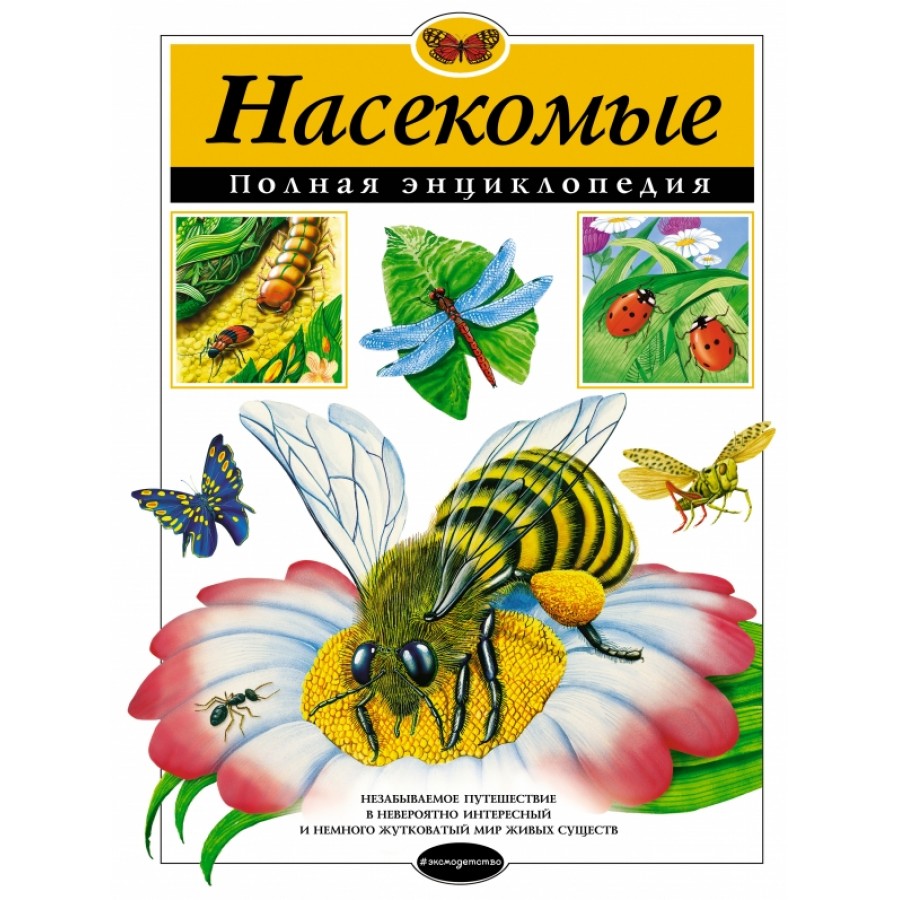 Насекомые. Полная энциклопедия. Т. Грин купить оптом в Екатеринбурге от 928  руб. Люмна