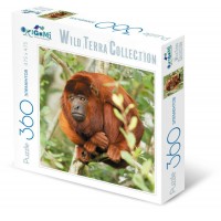 Оригами Пазл 360  Огненная обезьяна 01892 Россия