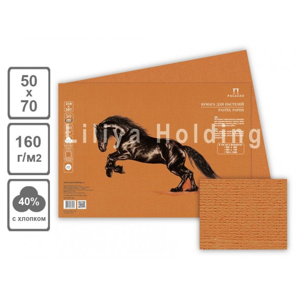 Бумага для пастели В2 50х70 10 листов 160г/м2 Палаццо Terracota терракотовый БРT/B2 Лилия  Я05921