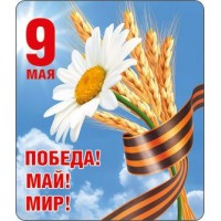 Горчаков/Магнит. 9 Мая/51.18.056/