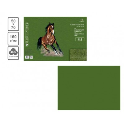 Бумага для пастели В2 50х70 10 листов 160г/м2 Палаццо Dark jungle темные джунгли БРDJ/В2 Лилия  Я05622