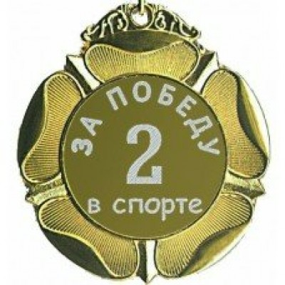 Оля и Женя/Медаль. 2 место за победу в спорте/м65-54/