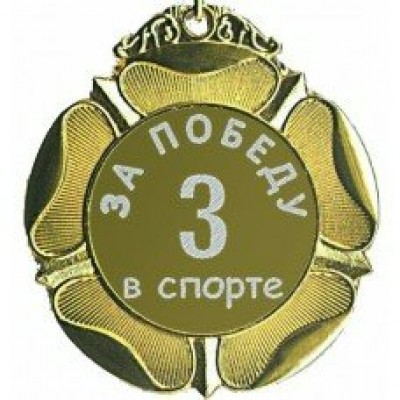 Оля и Женя/Медаль. 3 место за победу в спорте/м65-55/