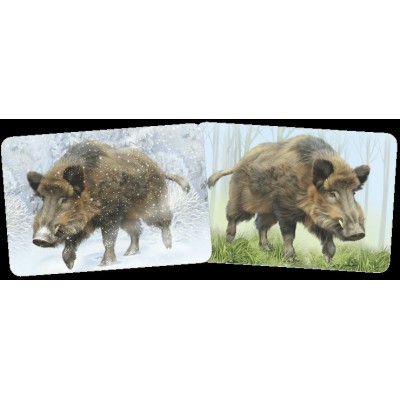 Кабан. А4. 29,336,00. Кабан. А4. 29,336,00.