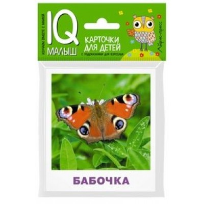 Насекомые. 17 карточек. Ходюшина Н.П.