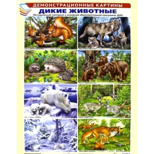 Дикие животные. Демонстрационные картины. Методический материал к основной образовательной программе ДОО. А3. Цветкова Т.В.