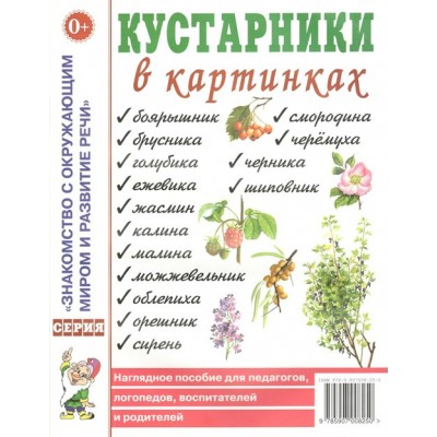 Кустарники в картинках. 