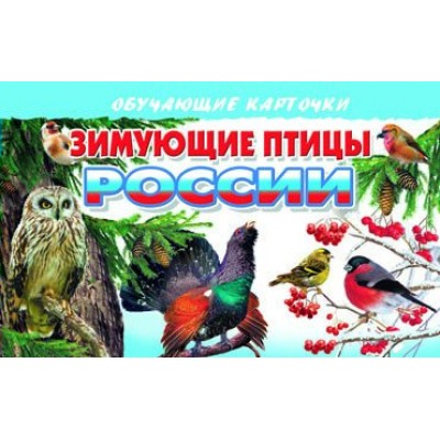Зимующие птицы России. 