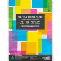 Вкладыш файл с перфорацией А4+ 100шт 40мкм Премиум тиснение 458202 Бюрократ  013BKPREM