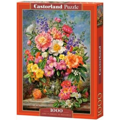 Castor Land Пазл 1000  Цветы С-103904 Польша