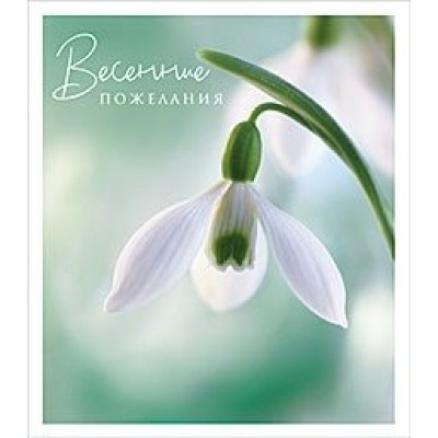 Лакарт/Открытка 8 марта/5381/