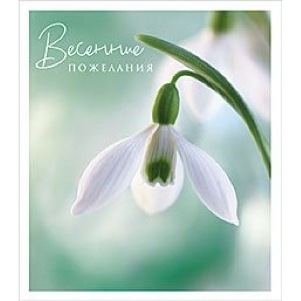 Лакарт/Открытка 8 марта/5381/