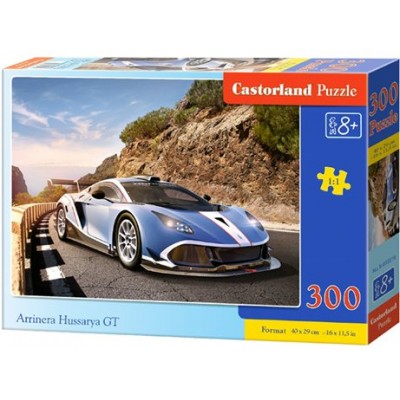 Castor Land Пазл 300  Арринера GT B-030316 Польша