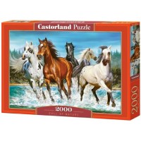 Castor Land Пазл 2000  Бегущие лошади C-200702 Польша