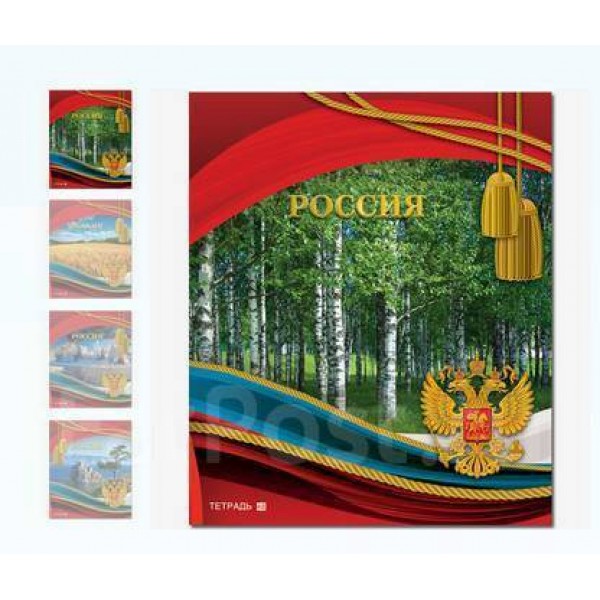 Тетрадь 96 листов А5 клетка, гребень Родные просторы Россия 2 выборочный УФ-лак 2706-96 Полином