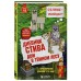 Дневник Стива. Книга 11. Дом в темном лесу. А. Гитлиц