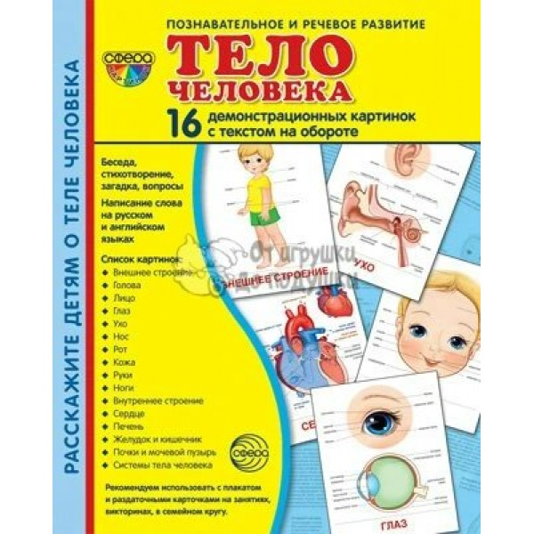 Тело человека. 16 демонстрационных картинок с текстом на обороте. 174 х 220. 